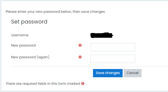 Set New Password